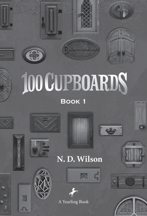 The Door Before (100 Cupboards Prequel) by Wilson, N. D.