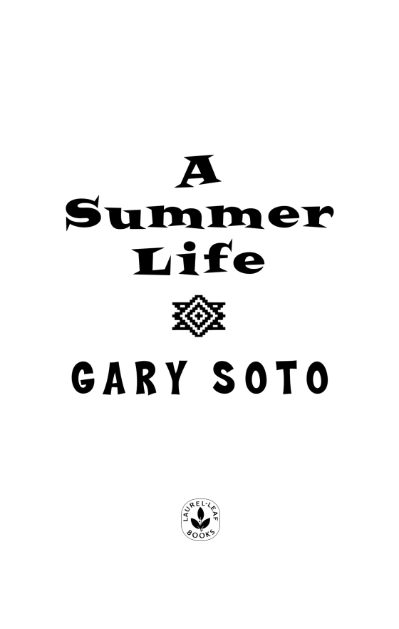 gary soto a summer life essay