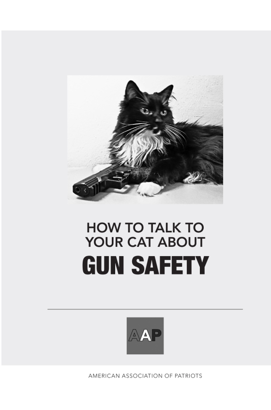 How to Talh to Your Cat About Gun Safety HOW TO TALK Do you love your