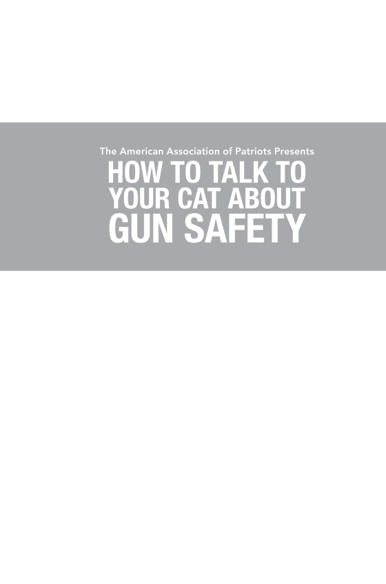 How to Talk to Your Cat About Gun Safety zine 