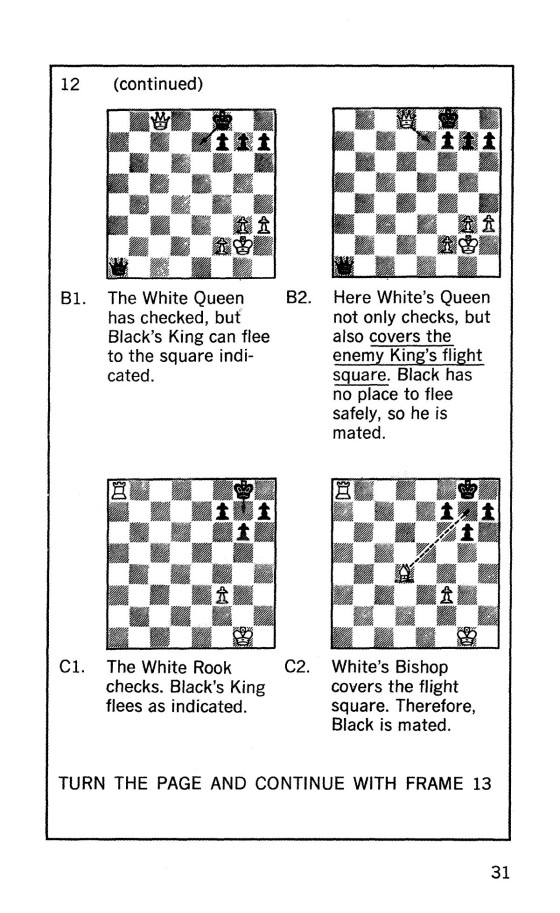 Bobby Fischer Teaches Chess - Livro De Bolso - 9780553263152 com o Melhor  Preço é no Zoom