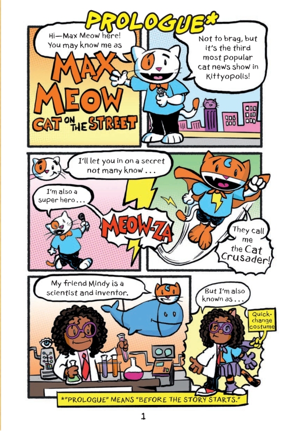 Videos, Fun & Games - Max Meow Graphic Novel Series for Kids