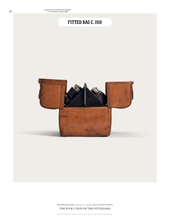 Louis Vuitton City Bags: A Natural History: Kaufmann, Jean-Claude, Luna,  Ian, Müller, Florence, Nishitani, Mariko, Pringle, Colombe: 9780847840878:  : Books
