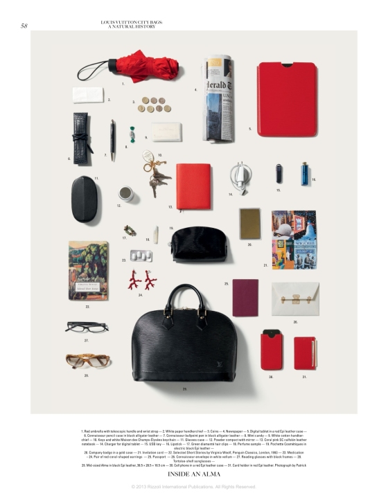 The Story of the Louis Vuitton Luggage (Hardcover)  Village Books:  Building Community One Book at a Time