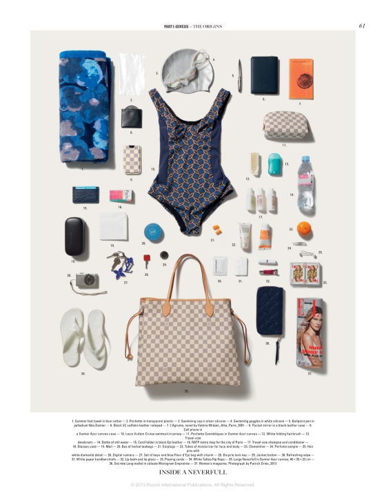 Louis Vuitton City Bags: A Natural Historyとルイ・ヴィトン シティ
