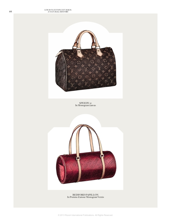 Louis Vuitton City Bags: A Natural History Book - BAGAHOLICBOY