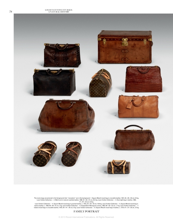 Louis Vuitton City Bags: A Natural History: Kaufmann, Jean-Claude, Luna,  Ian, Müller, Florence, Nishitani, Mariko, Pringle, Colombe: 9780847840878:  : Books