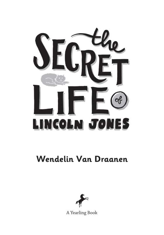 Shredderman: Secret Identity - Paperback By Van Draanen, Wendelin -  ACCEPTABLE