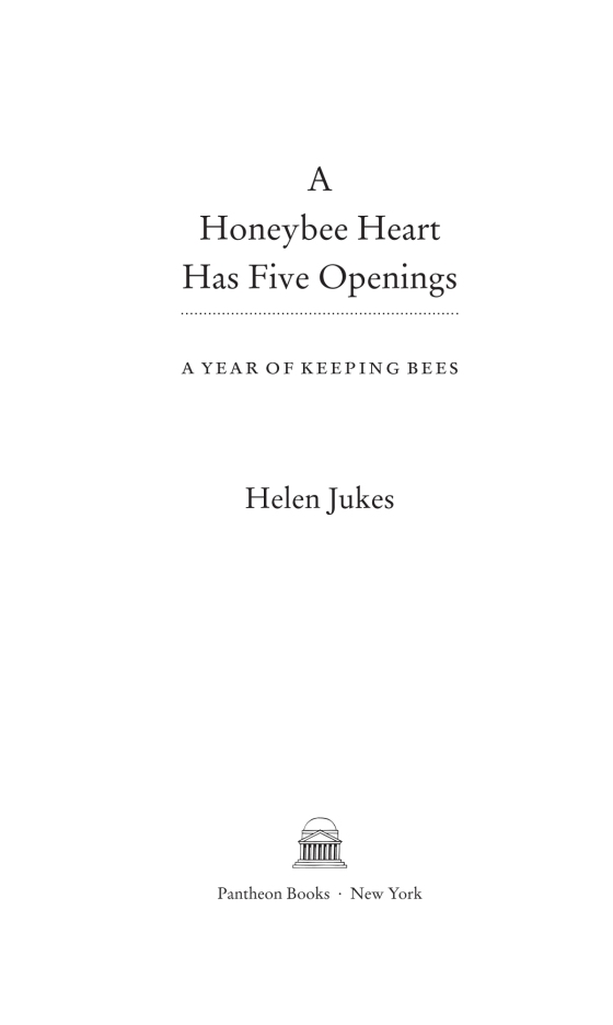 A Honeybee Heart Has Five Openings: A Year of Keeping Bees: Jukes