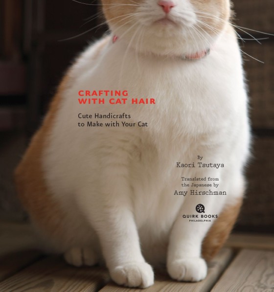 Crafting with Cat Hair by Kaori Tsutaya, Cute Handicrafts to Make with  Your Cat, 9781594745256