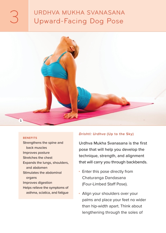 The art of adjustments in Ashtanga Yoga • Ashtanga Blog • Tania Kemou Yoga