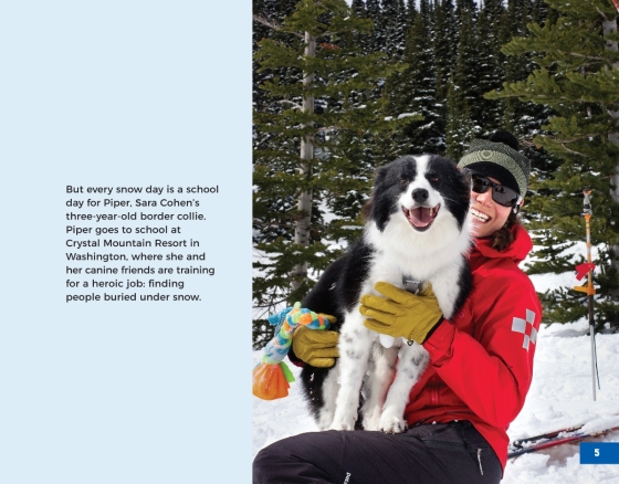 Avalanche Rescue Dogs  Crystal Mountain Resort