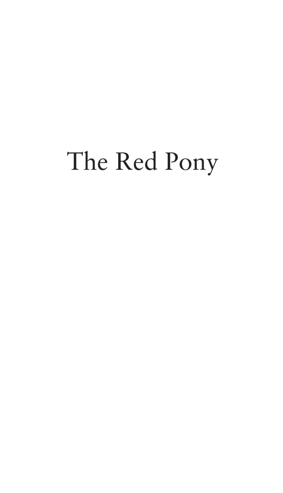 how many pages is the red pony