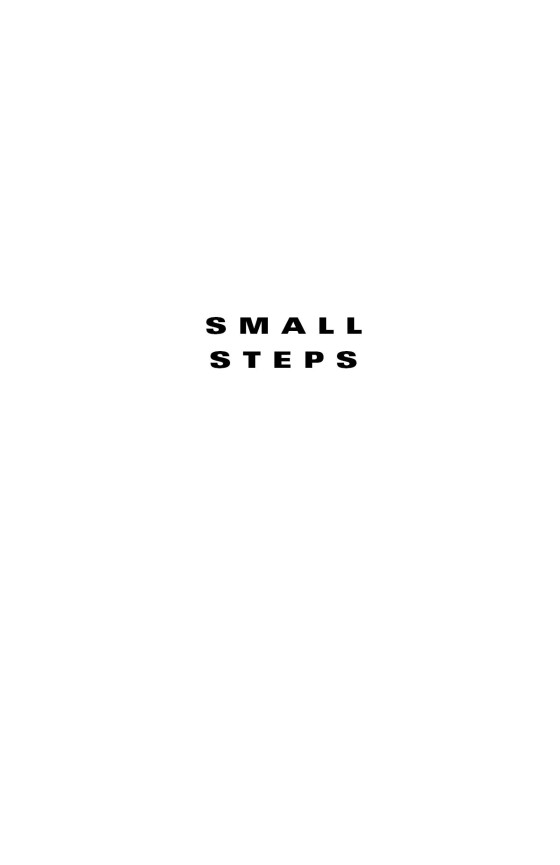 Small Steps (Holes Series #2) (Paperback)