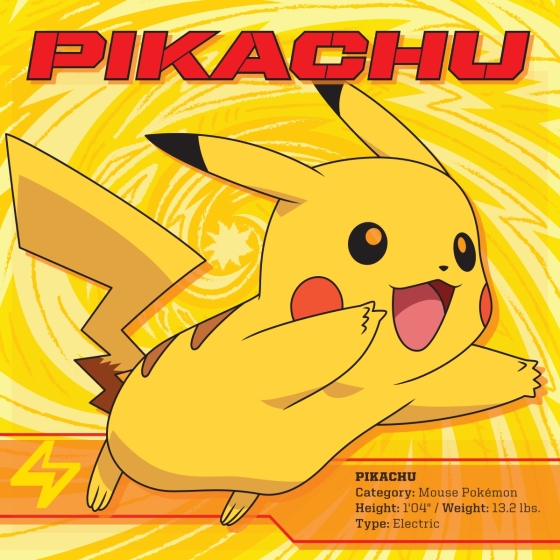 Ash and Pikachu: Alola Region/Team Rocket: Alola Region (Pokémon) by Rachel  Chlebowski: 9781524770082